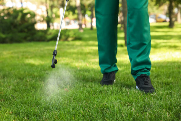 Best Commercial Pest Control Services  in Edwards Af, CA