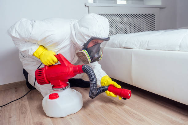 Best Affordable Pest Control Services  in Edwards Af, CA