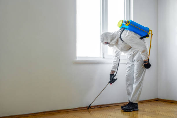 Pest Prevention Services in Edwards Af, CA